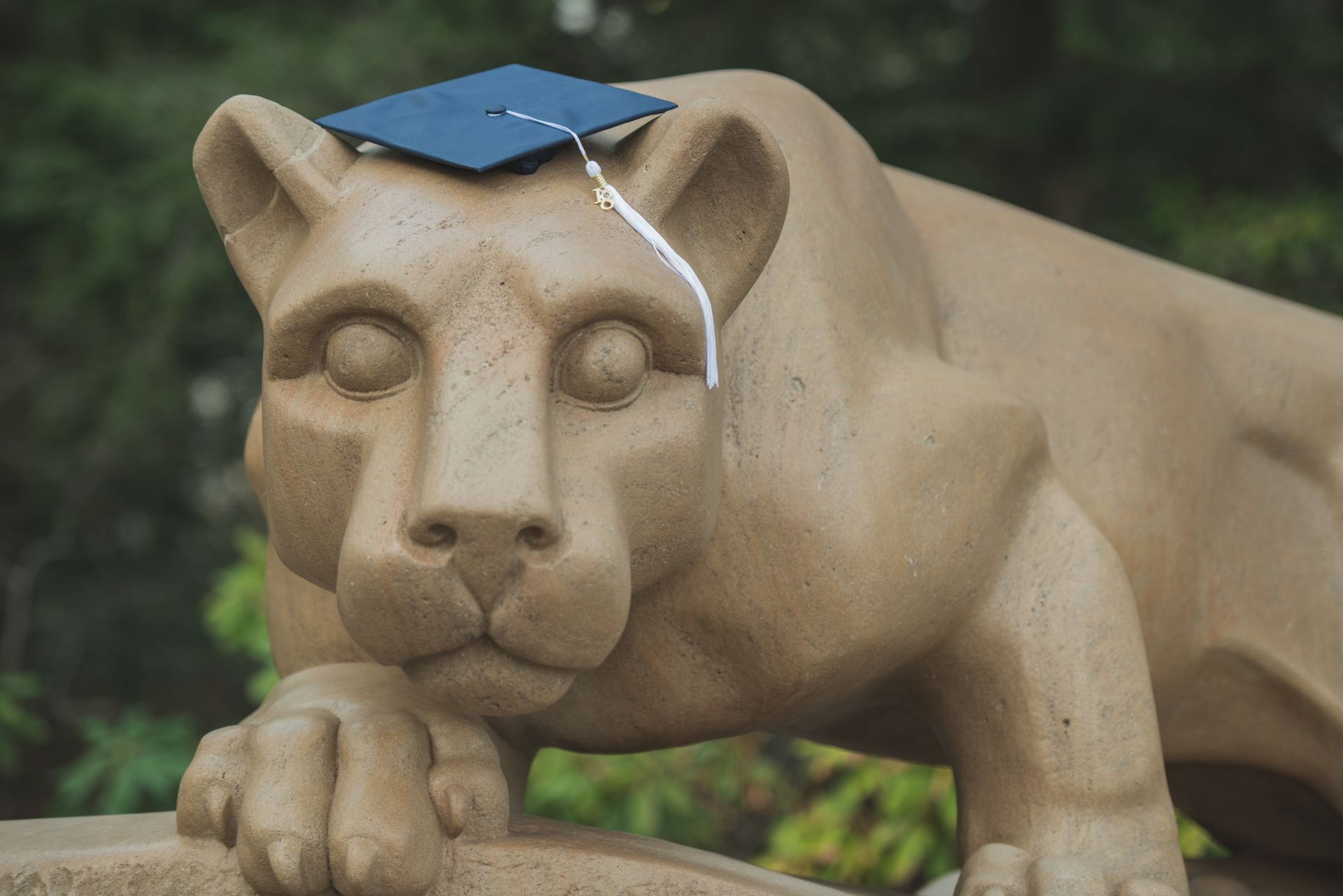 Nittany Lion statue wearing a graduation cap